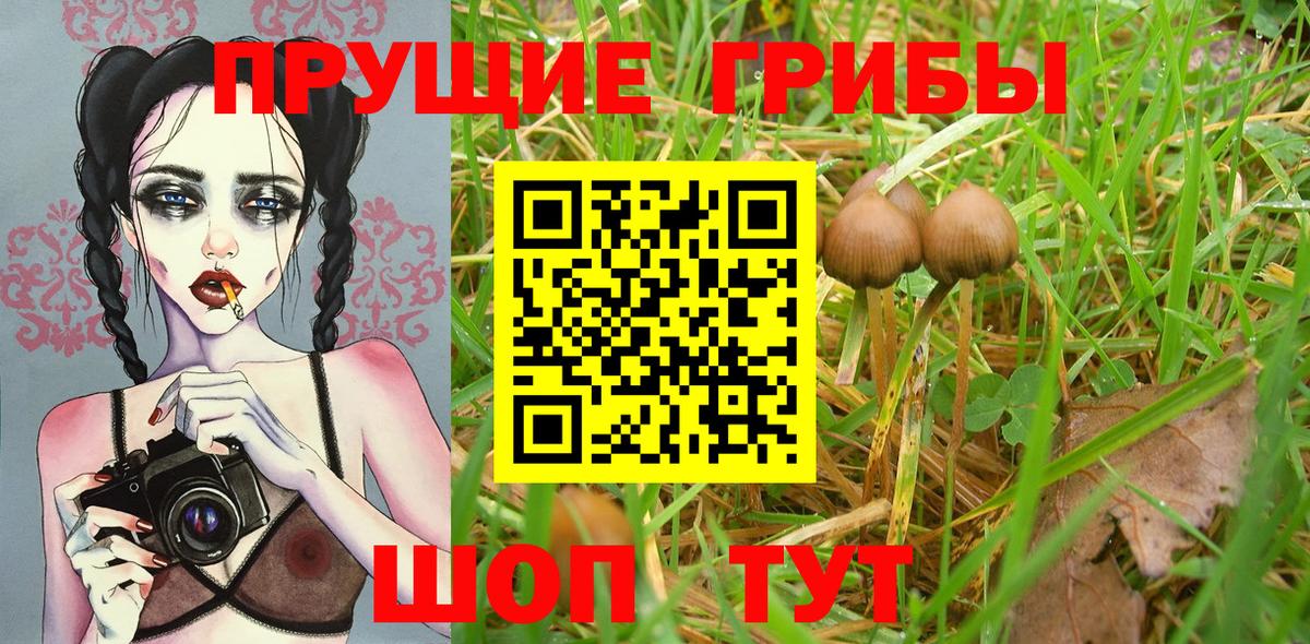 Нижний Новгород  Галлюциногенные грибы мухоморы  Вход с VPN 