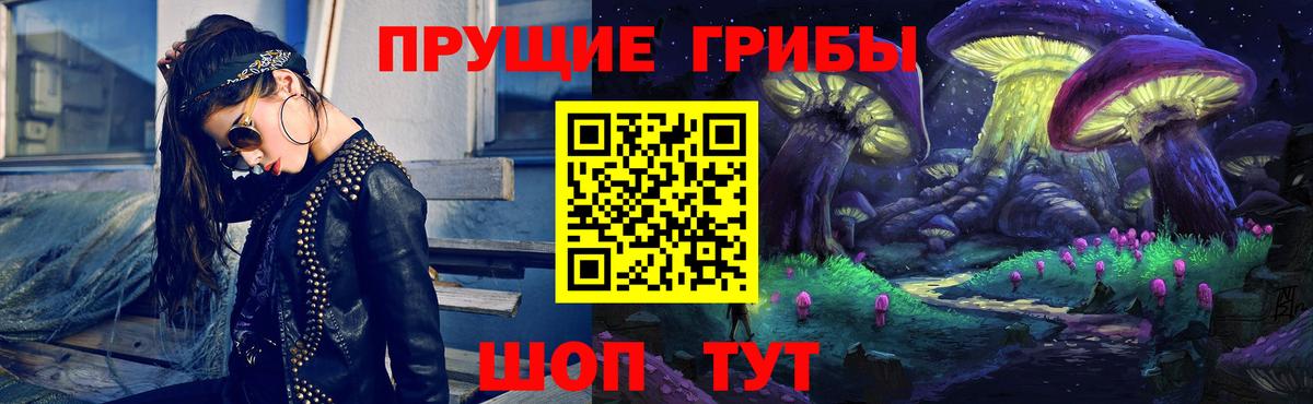Псилоцибиновые грибы Cubensis Нижний Новгород